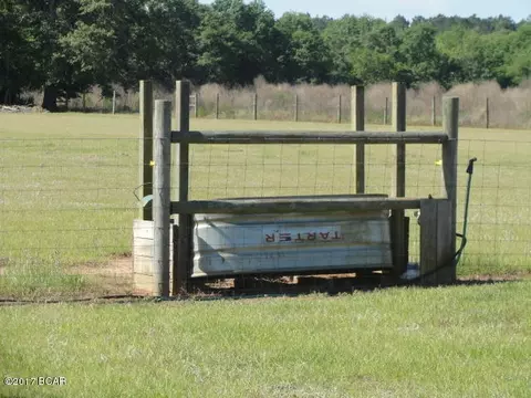 17309 Mt Olive Cem Rd, Altha, FL 32421 photo 23