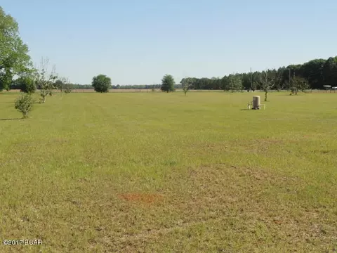 17309 Mt Olive Cem Rd, Altha, FL 32421 photo 17