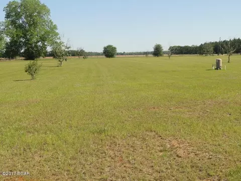 17309 Mt Olive Cem Rd, Altha, FL 32421 photo 18