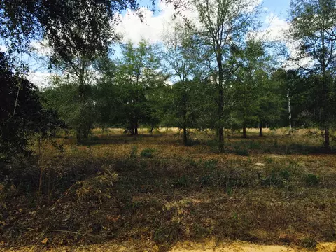 6830 Cox Rd, Bascom, FL 32423 photo 1