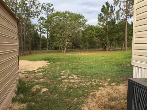 4909 Partridge Pl, Chipley, FL 32428 photo 6