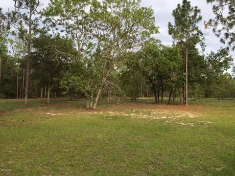 4909 Partridge Pl, Chipley, FL 32428 photo 7