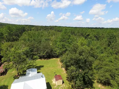 1396 Foxworth Rd, Chipley, FL 32428 photo 39