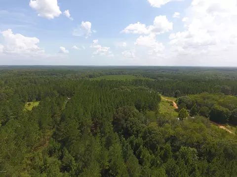 000 Perry Rd, Cottondale, FL 32448 photo 12