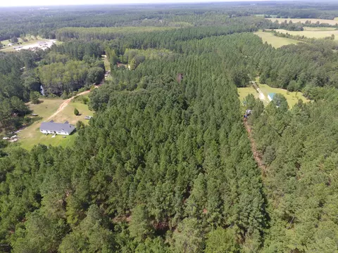 000 Perry Rd, Cottondale, FL 32448 photo 5