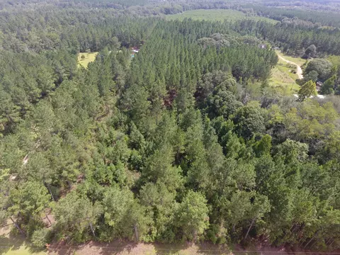 000 Perry Rd, Cottondale, FL 32448 photo 11