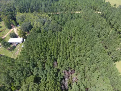 000 Perry Rd, Cottondale, FL 32448 photo 4