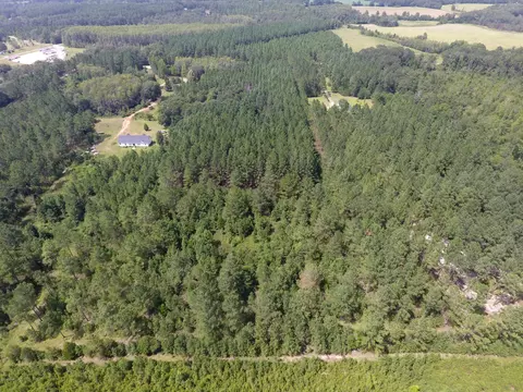 000 Perry Rd, Cottondale, FL 32448 photo 6