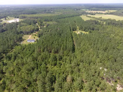 000 Perry Rd, Cottondale, FL 32448 photo 7