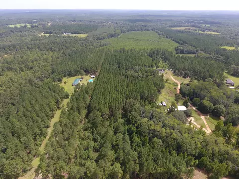 000 Perry Rd, Cottondale, FL 32448 photo 10