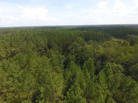 000 Perry Rd, Cottondale, FL 32448 photo 3