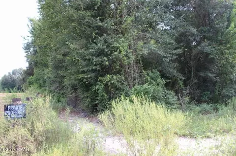 6293 Wolf Pond Rd, Bascom, FL 32423 photo 3