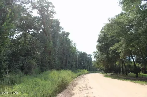 6293 Wolf Pond Rd, Bascom, FL 32423 photo 5