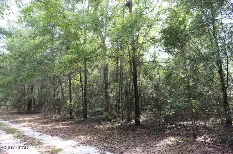 6293 Wolf Pond Rd, Bascom, FL 32423 photo 10