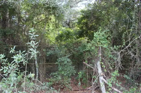 6293 Wolf Pond Rd, Bascom, FL 32423 photo 7