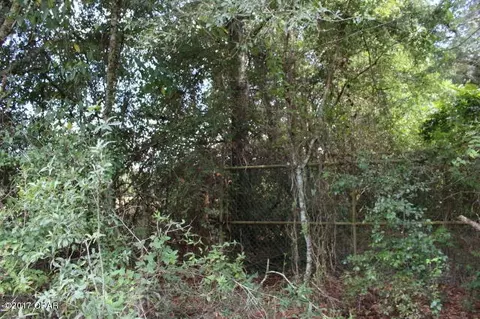 6293 Wolf Pond Rd, Bascom, FL 32423 photo 8