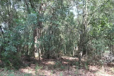 6293 Wolf Pond Rd, Bascom, FL 32423 photo 9
