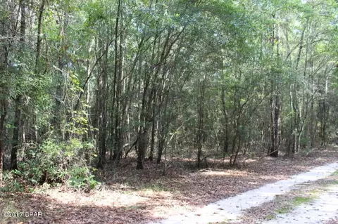 6293 Wolf Pond Rd, Bascom, FL 32423 photo 11