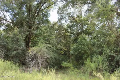 6293 Wolf Pond Rd, Bascom, FL 32423 photo 1