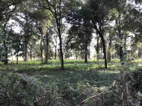 5075 Basswood Rd, Bascom, FL 32423 photo 14
