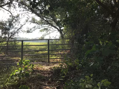 5075 Basswood Rd, Bascom, FL 32423 photo 13