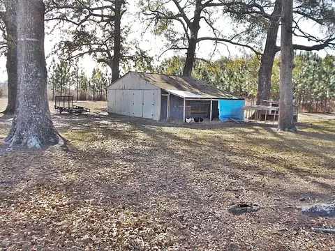 5395 Hummingbird Rd, Bascom, FL 32423 photo 16
