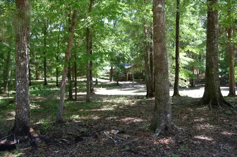 14138 NW Bumpy Hill Rd, Altha, FL 32421 photo 31