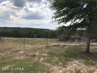 107 Pike Pond Rd, Chipley, FL 32428 photo 3