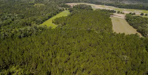 2697 Gilberts Mill Rd, Chipley, FL 32428 photo 41