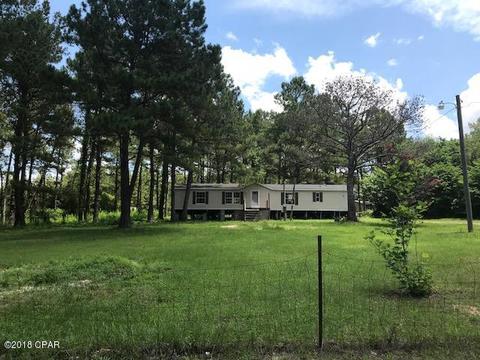 23203 NW Watson Rd, Altha, FL 32421 photo 1