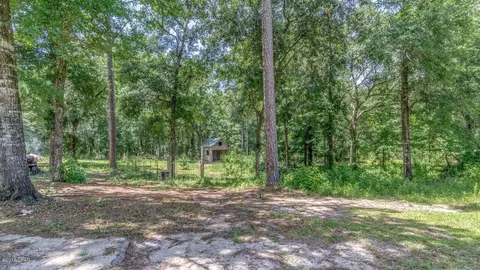 3822 Bunyon Dr, Chipley, FL 32428 photo 30