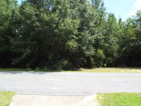 1811 Paris Ln, Chipley, FL 32428 photo 13