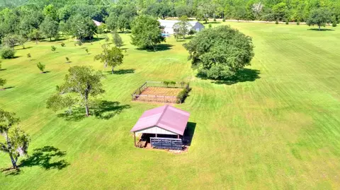 3653 Pine Log Rd, Chipley, FL 32428 photo 3