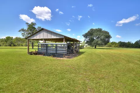 3653 Pine Log Rd, Chipley, FL 32428 photo 72