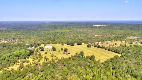 3653 Pine Log Rd, Chipley, FL 32428 photo 65