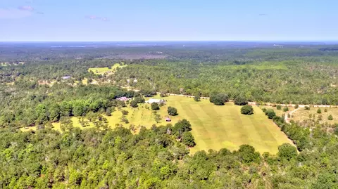 3653 Pine Log Rd, Chipley, FL 32428 photo 66