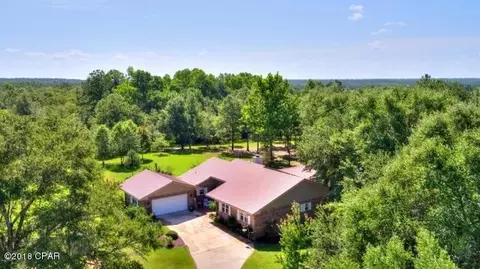 3653 Pine Log Rd, Chipley, FL 32428 photo 1