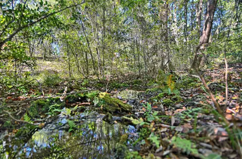 3653 Pine Log Rd, Chipley, FL 32428 photo 85