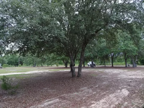 2993 Caroline Dr, Chipley, FL 32428 photo 16