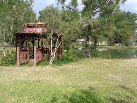 814 Haley Dr, Chipley, FL 32428 photo 4