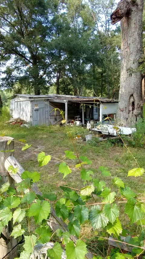5946 Highway 2, Bascom, FL 32423 photo 15
