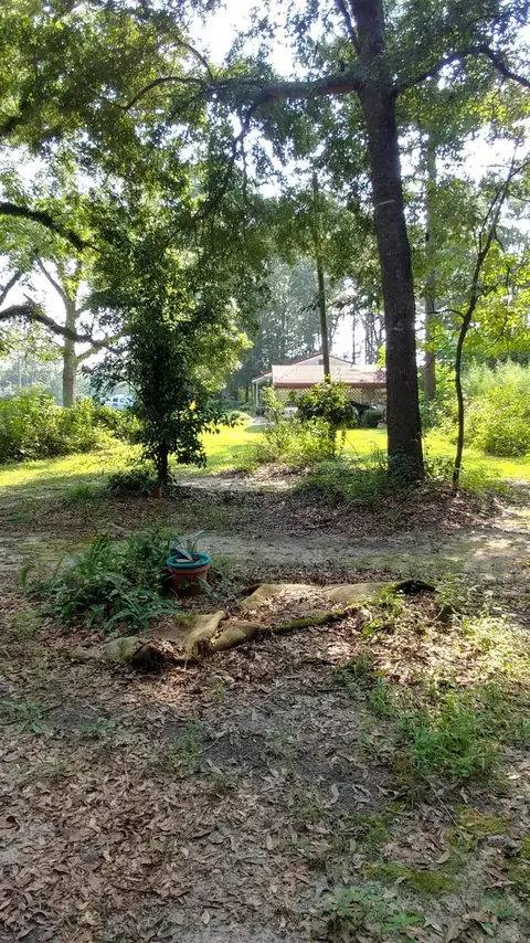 5946 Highway 2, Bascom, FL 32423 photo 19