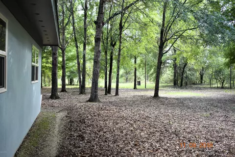 2255 Voltaire Dr, Chipley, FL 32428 photo 5