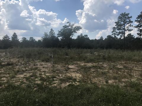 3904 Amy Ln, Chipley, FL 32428 photo 1