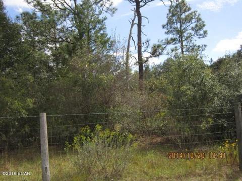 2499 Windbrook St, Chipley, FL 32428 photo 1