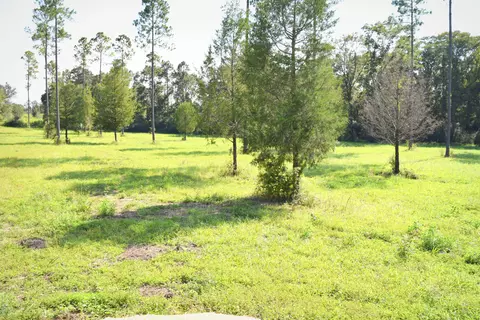 1667 Buddy Rd, Chipley, FL 32428 photo 2