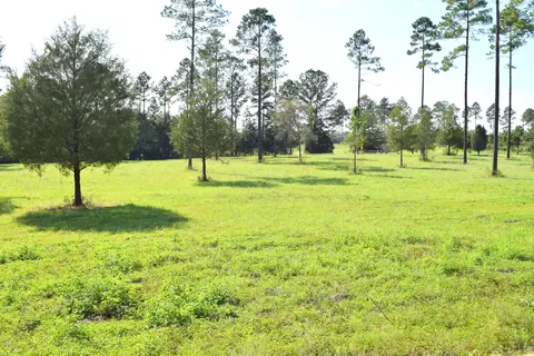 1667 Buddy Rd, Chipley, FL 32428 photo 6