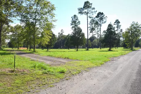 1667 Buddy Rd, Chipley, FL 32428 photo 4