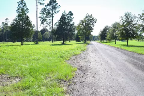 1667 Buddy Rd, Chipley, FL 32428 photo 3