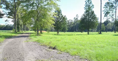 1667 Buddy Rd, Chipley, FL 32428 photo 1